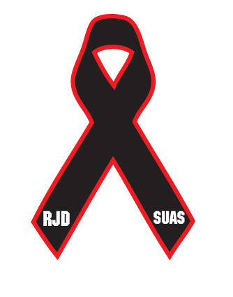 de6.DioSUASRibbon.jpg