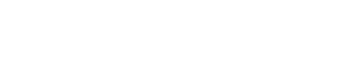 1df.fnlogo.png