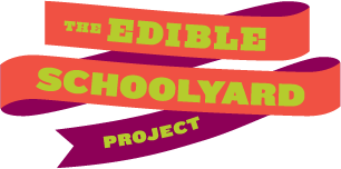 460.esy-logo.png