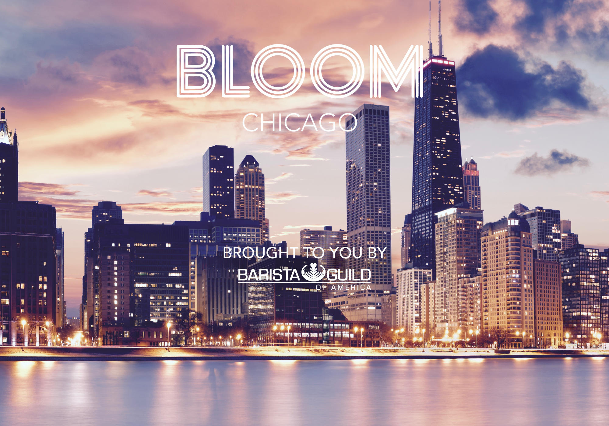 Bloom Chicago Splash