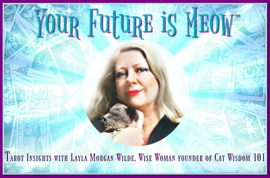 2f4.Layla_futureismeow_graphic.png