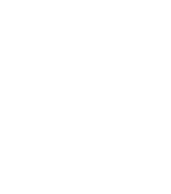 d78.vote-power-flaticon.png