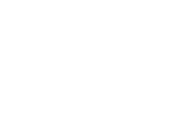 UGA Logo