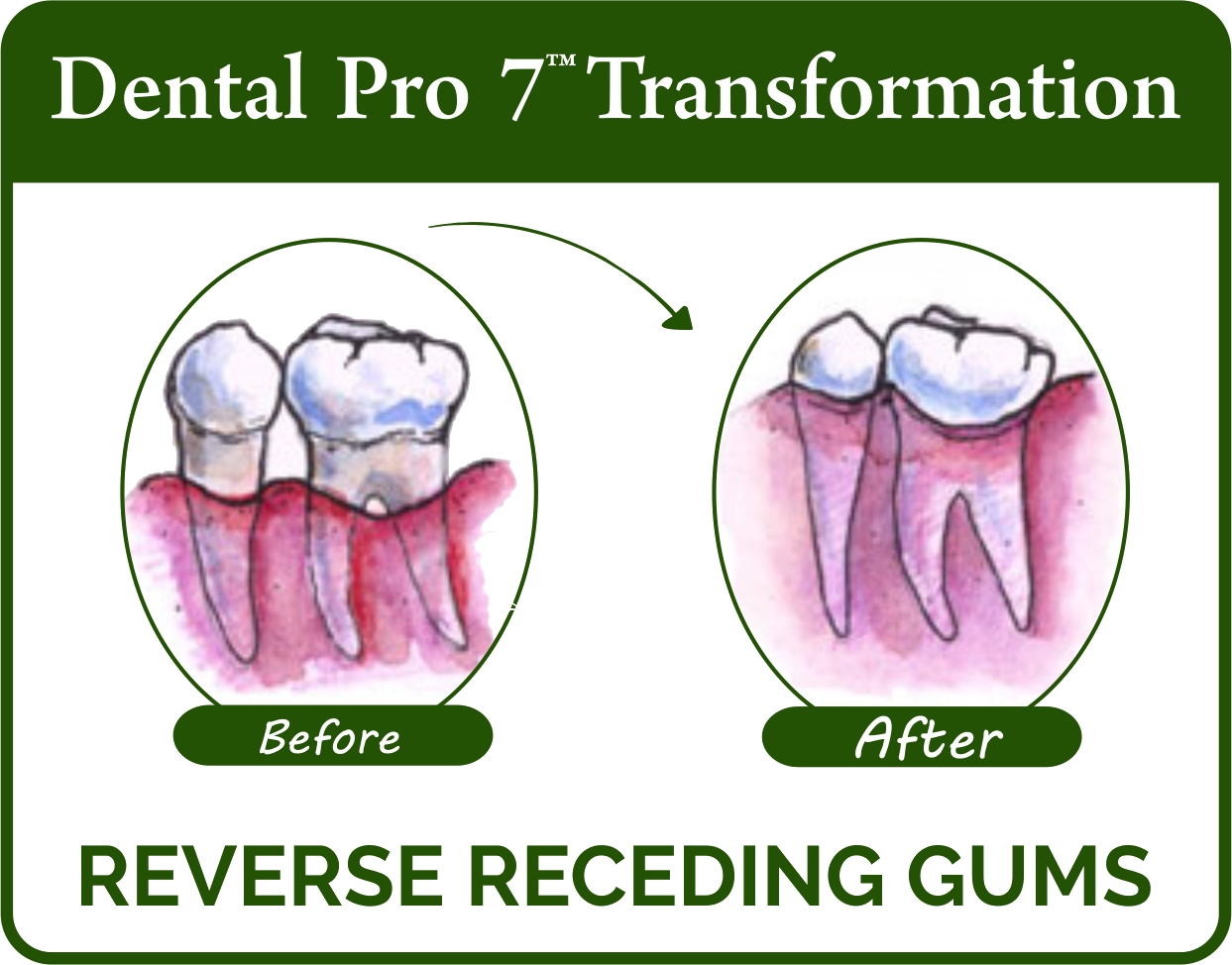Dental Pro 7 Reviews Read This Before You Buy This Product.