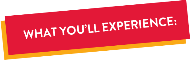 What You'll Experience