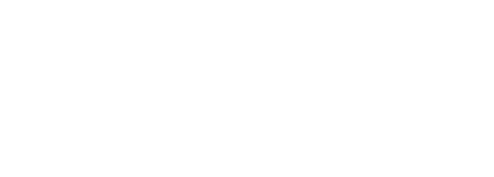 Adjust Logo