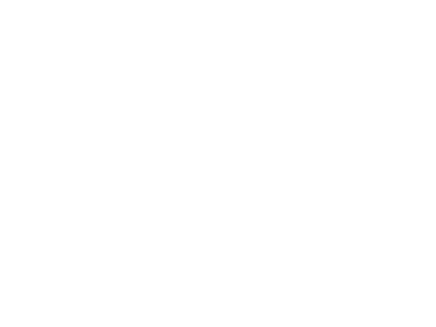 Computer monitor icon