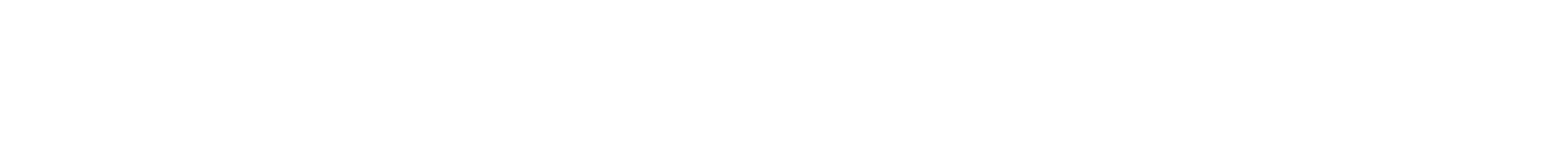 Light Logo