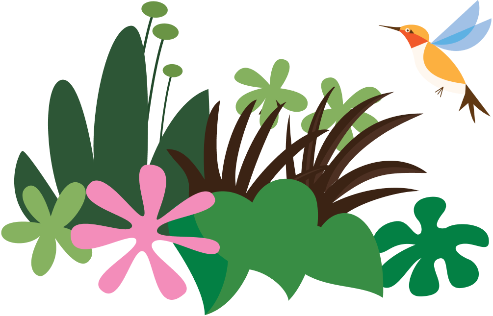 plant