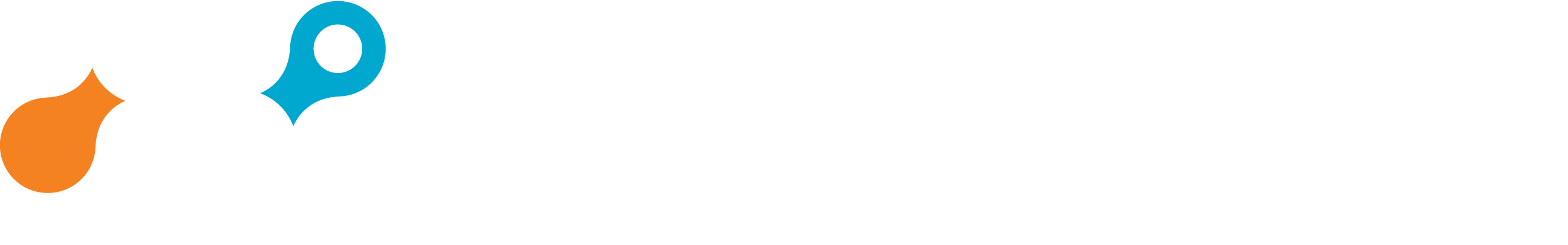 Netskope Logo