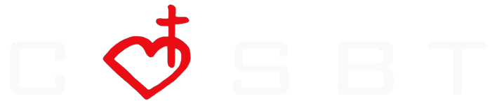 Light Logo