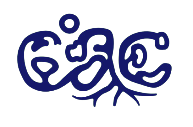 Light Logo