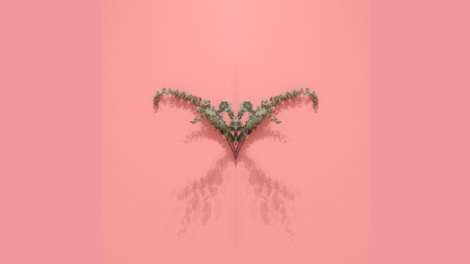 In a central square flanked by two vertical pink rectangles, a photograph shows grey-green eucalyptus fronds casting faint shadows on a brightly lit, deep pink wall. On arched stems, curled leaves indicate this plant matter is no longer living. Vertically mirrored and digitally collaged, the few fronds and their companion shadows form and invert an ornate obtuse angle reminiscent of bird wings in flight. In pale grey, and in web color–aqua, a contemporary light-weight typeface based on geometric forms surrounds much of the frond-figure providing event details: Adjua Gargi Nzinga Greaves; Network Metaphysics: Houseplant Culture & An Ethics of Love; online; Eugene Lang College of Liberal Arts at The New School; Monday, Feb 14, 2022. 6pm EST.