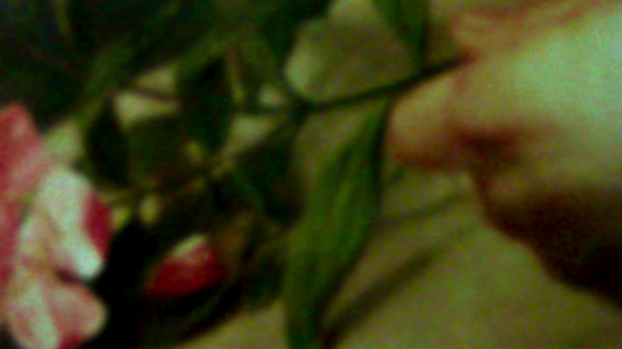 A fuzzy image that was shot with an electronic microscope captures a white hand holding the stem of a flower with pink and white petals.
