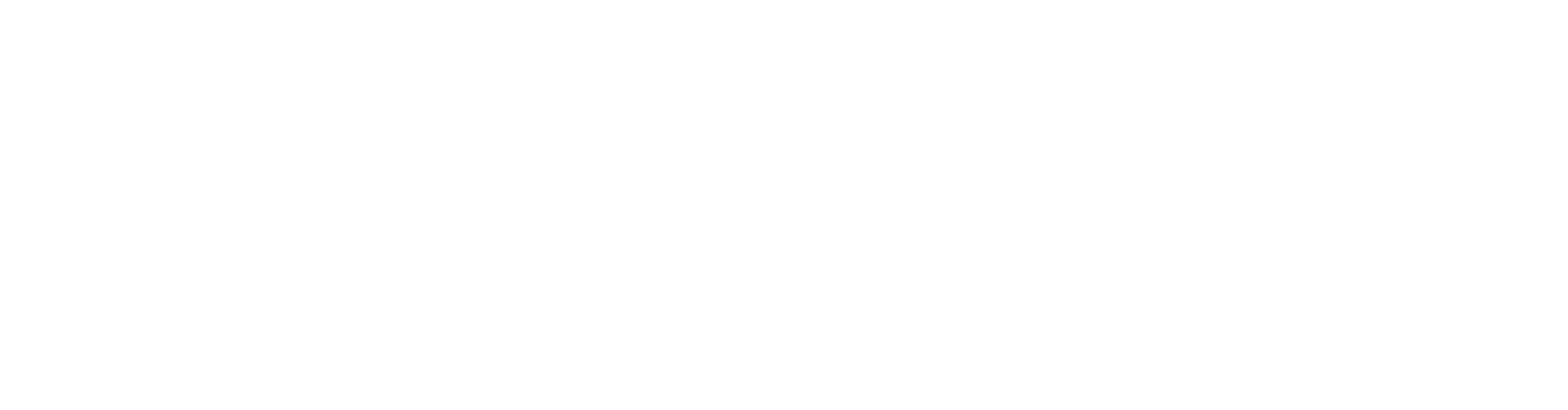 Light Logo