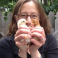 Portrait Placeholder alt text