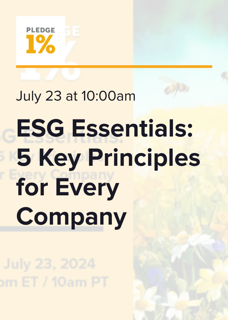 ESG Essentials: 5 Key Principles for Every Company