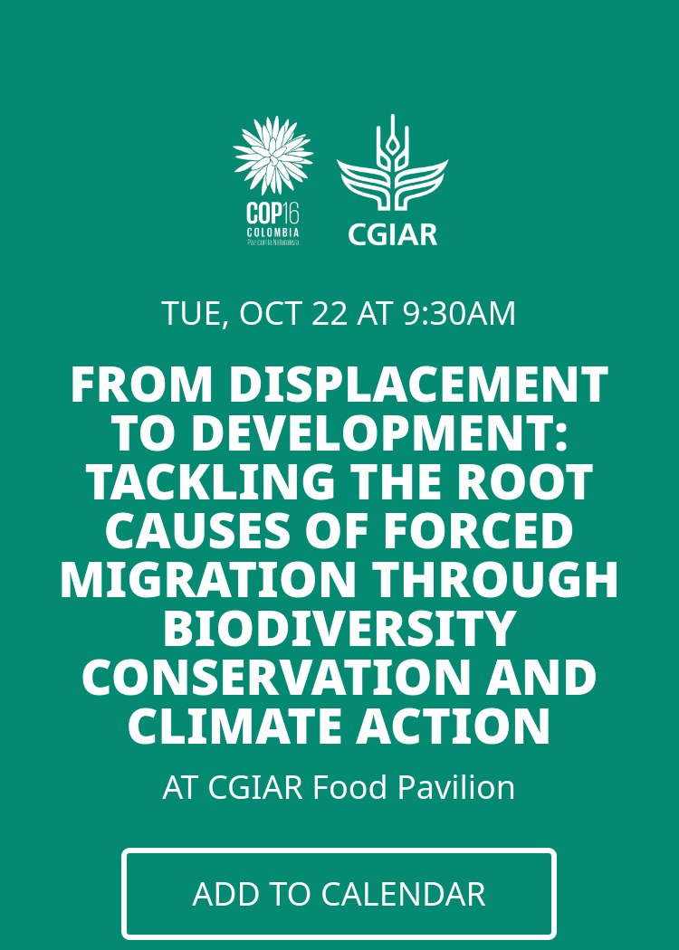 From Displacement to Development: Tackling the root causes of forced ...