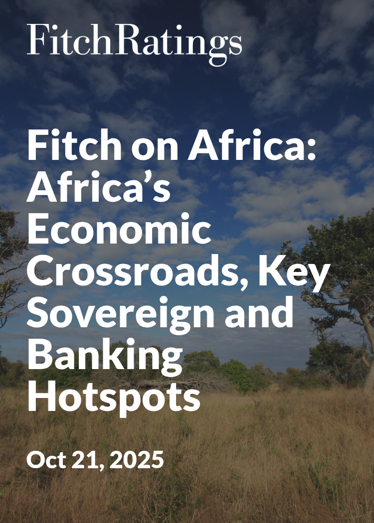 Fitch on Africa: Africa’s Economic Crossroads, Key Sovereign and ...