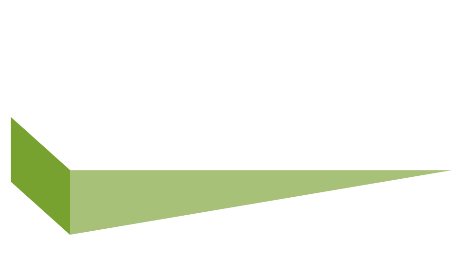 Light logo